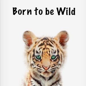 Meet your Posher, Tigerlily
